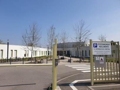 Centre Hôpitalier D'erstein, Hôpital Psychiatrique à Erstein